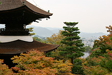 色づき始めの常寂光寺