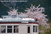 桜と雪とデハ107