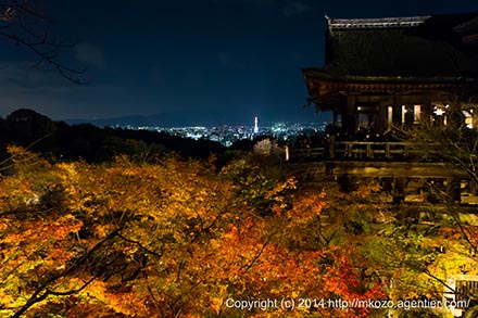 清水寺の秋の夜景(2014)